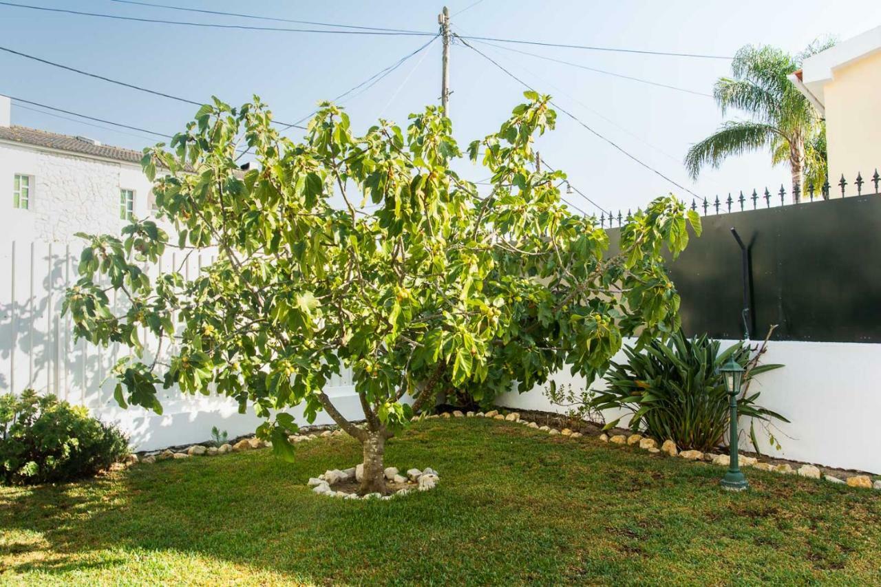 Casa Da Quintinha - Villa With A Pool Сесимбра Екстериор снимка